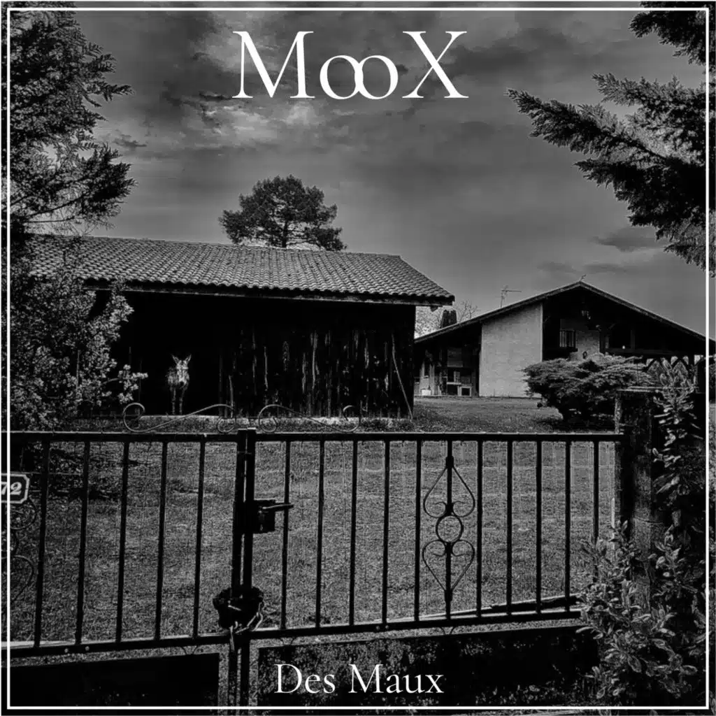 Moox
