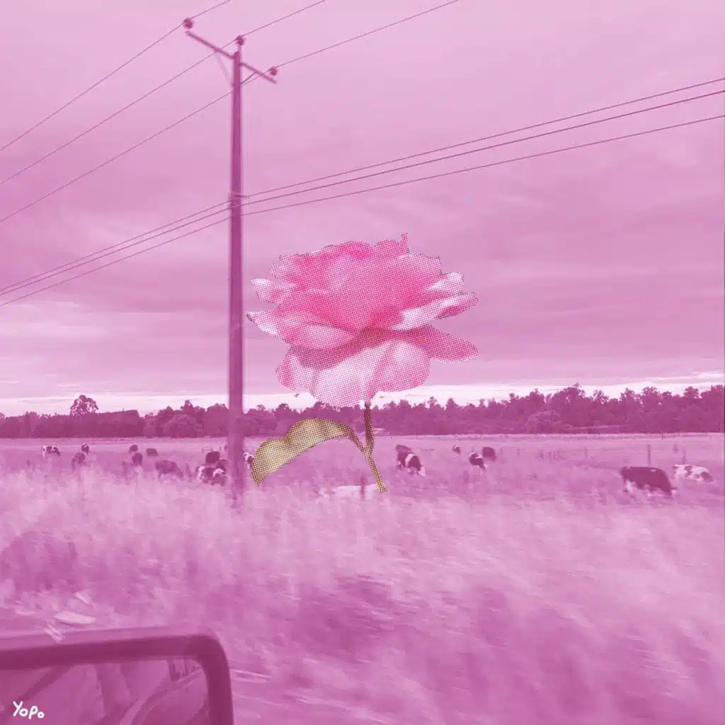 Una noche en Octay (Deluxe)