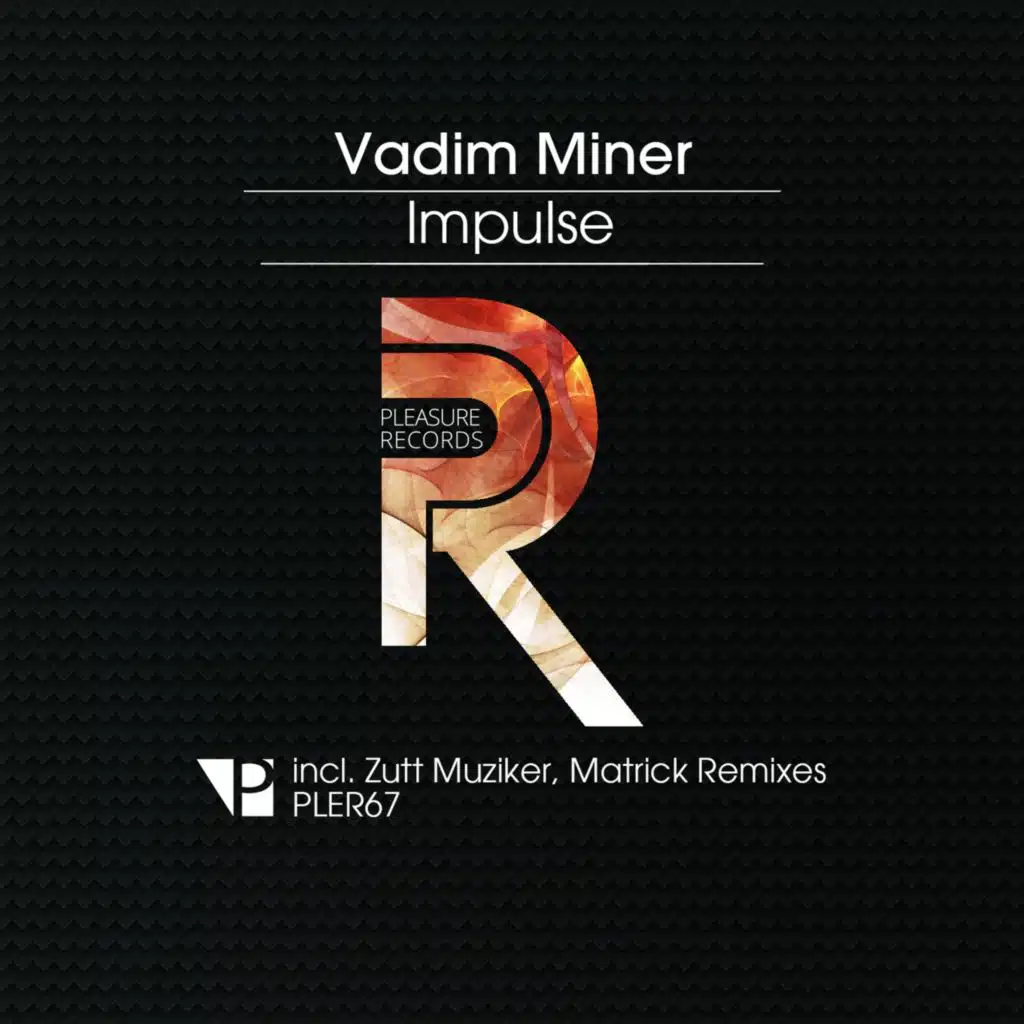 Vadim Miner