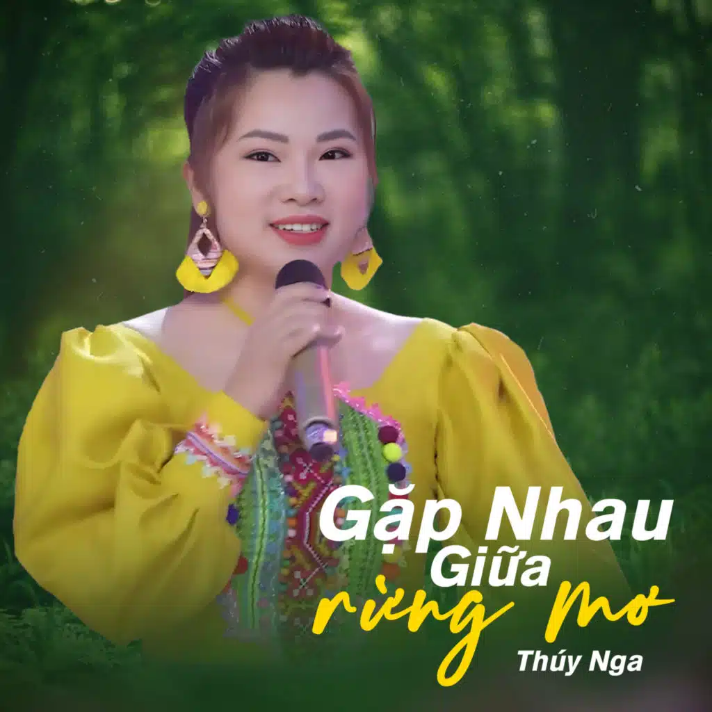 Gặp Nhau Giữa Rừng Mơ