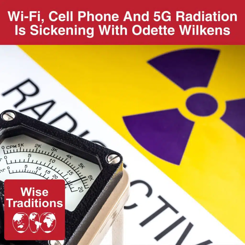 540: Wi-Fi, Cell Phone And 5G Radiation Is Sickening With Odette Wilkens