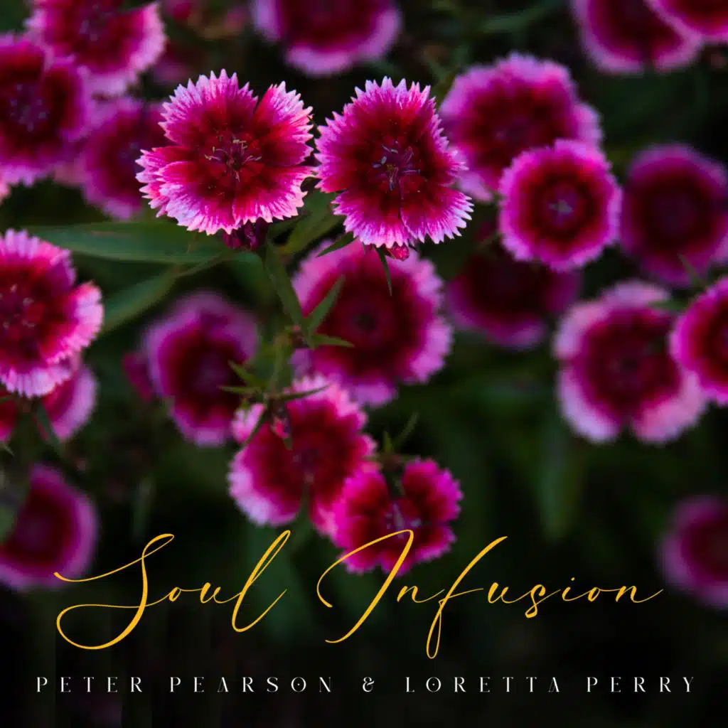 Shaken Not Stirred (feat. Loretta Perry) (vocal version)