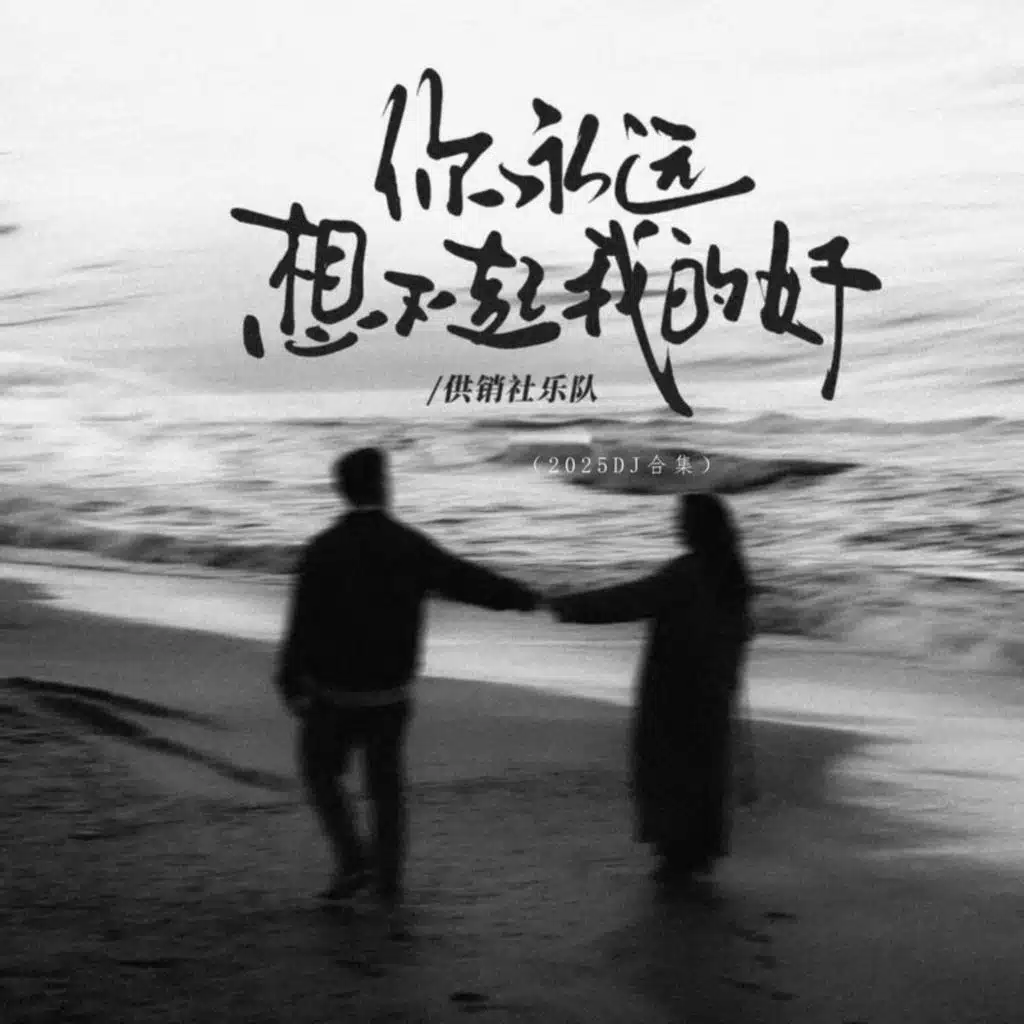 你永远想不起我的好 (2025DJ合集)