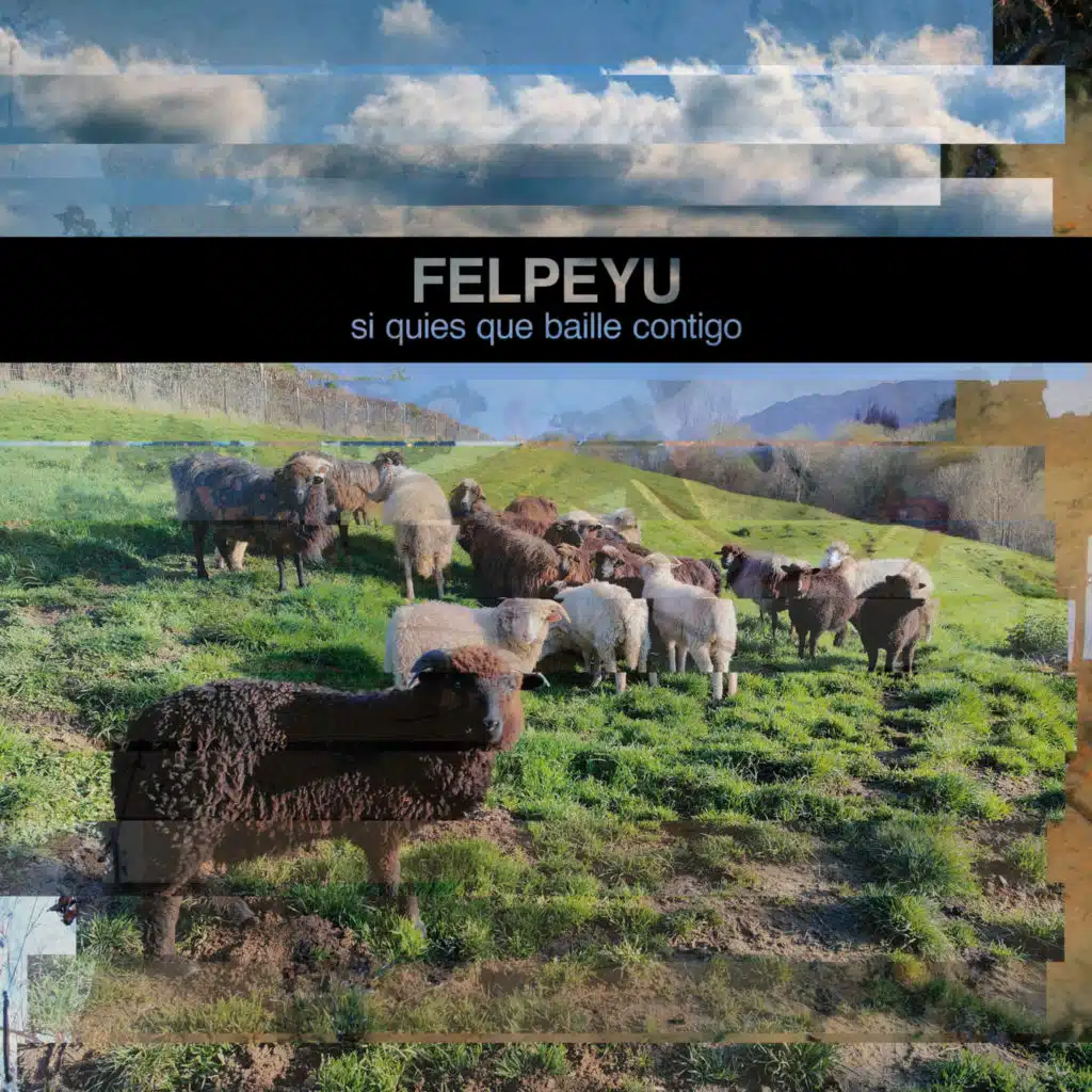 Felpeyu
