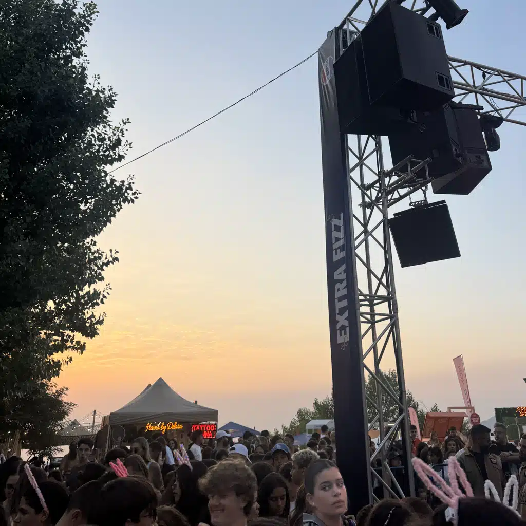 🪭👯🍍☀️🍒🍾🦋🍋‍🟩🎉🌴🫐