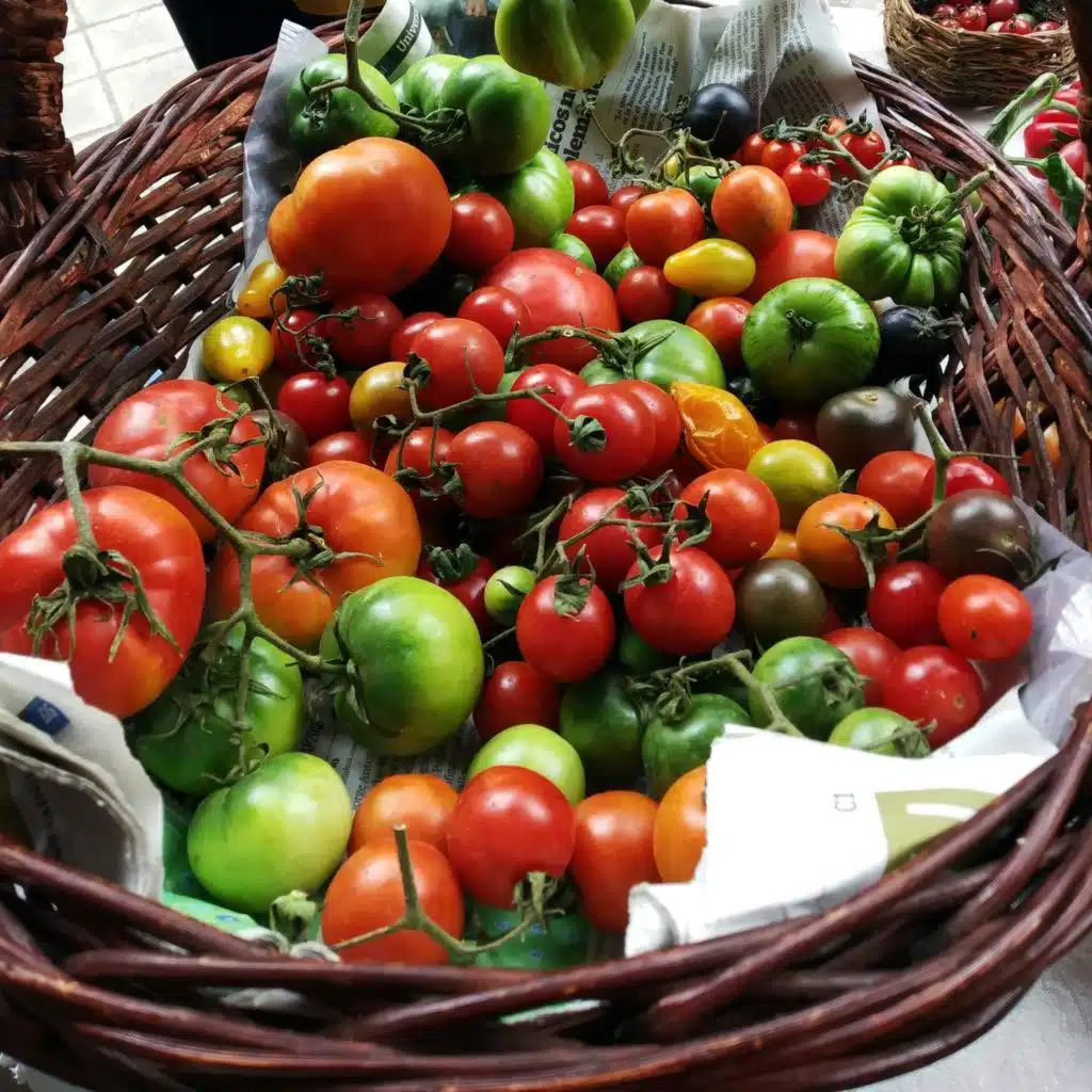 Tomatoes: A Love Story