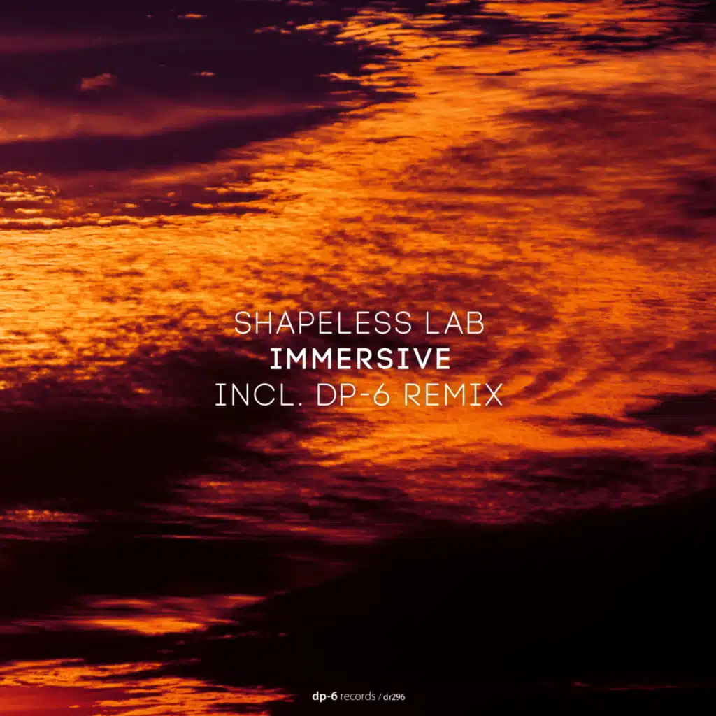DP-6 & Shapeless Lab