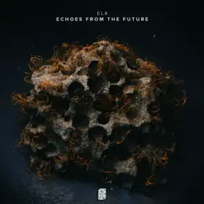 Echoes from the Future