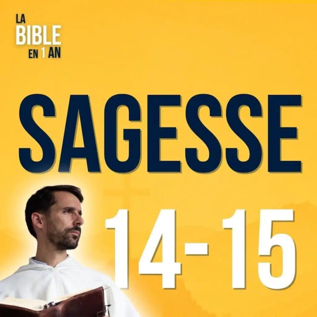 J249 - Idolâtrie : miroir de nos illusions - soir ☾