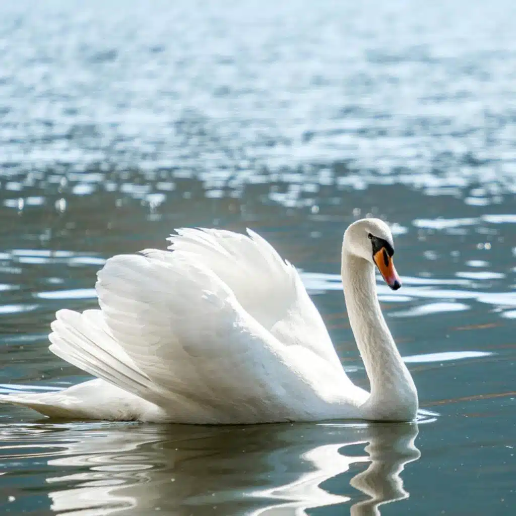 心灵疗愈 舒缓安抚放松治愈轻音乐