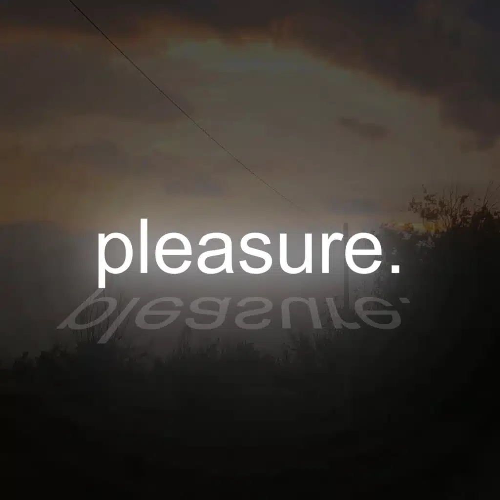 pleasure