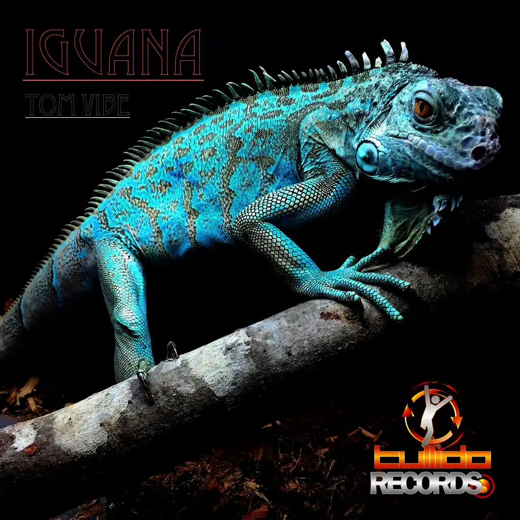 Iguana (Radio Edit)