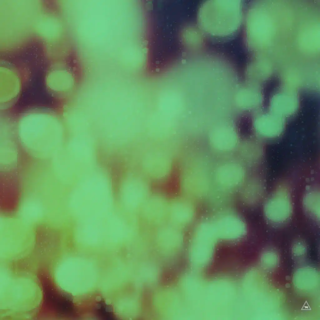 Tricky (Extended Mix)