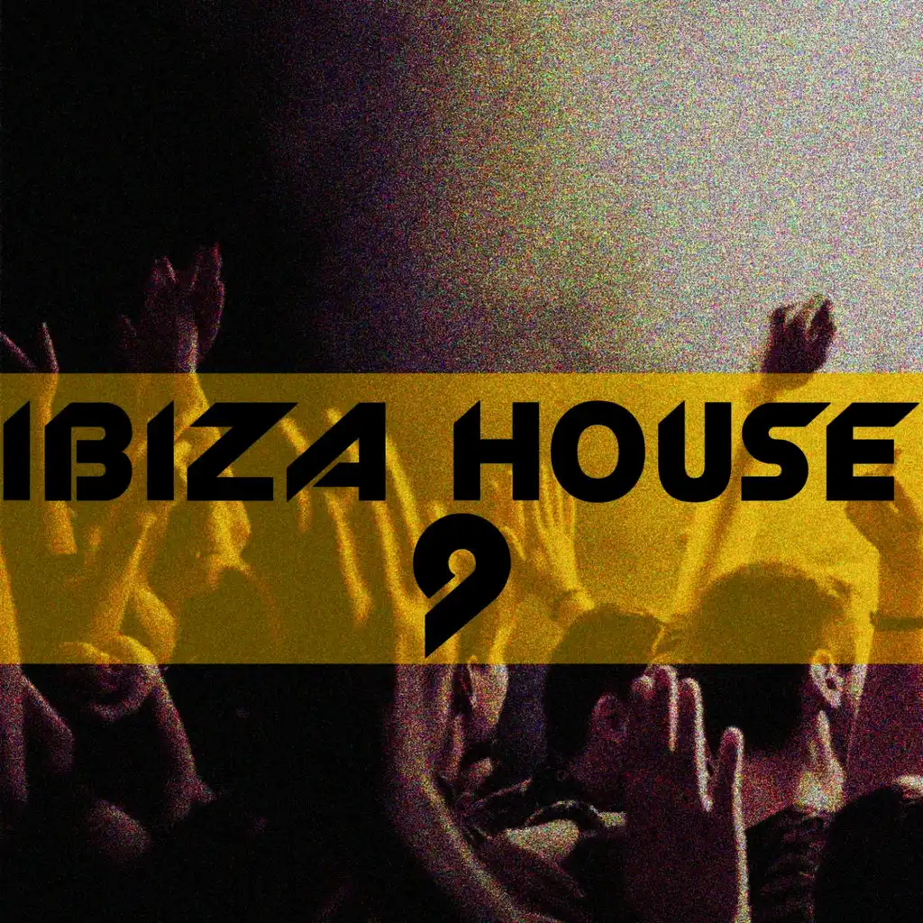 Ibiza House, Vol. 9