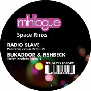 Space (Radio Slave Panorama Garage Remix)