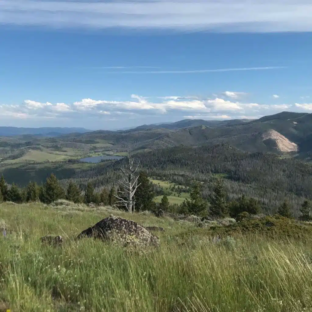 Colorado Mountain