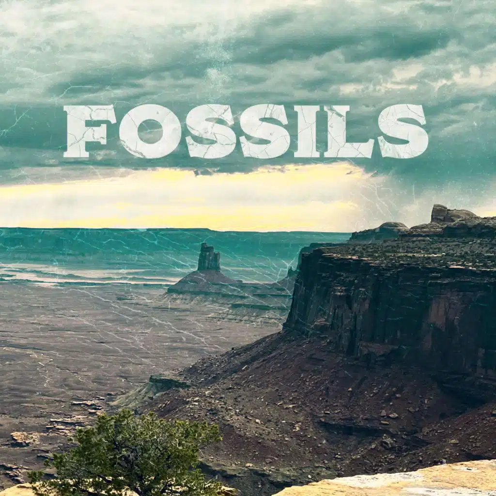 Fossils