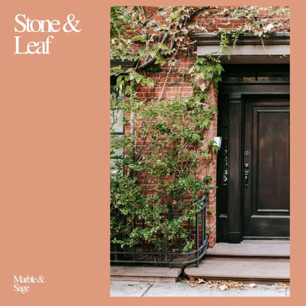 Stone & Leaf
