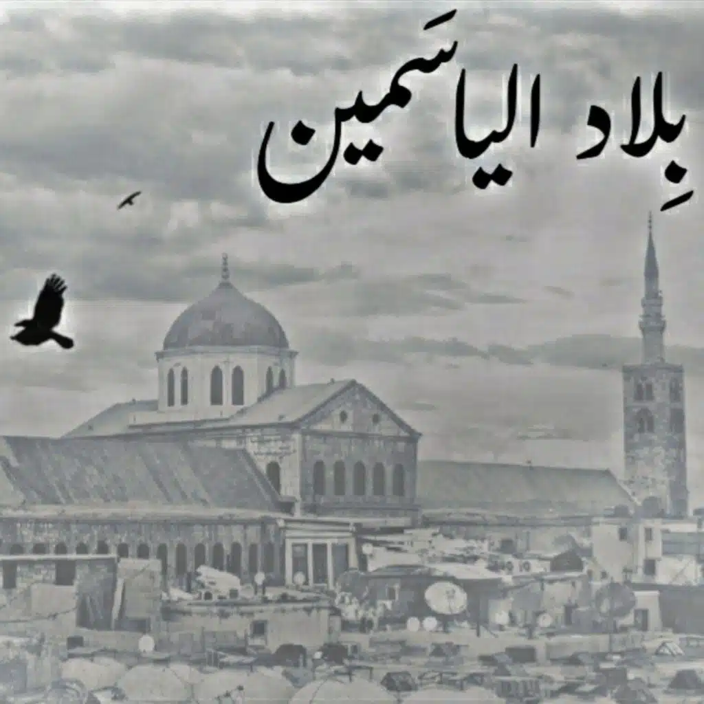 بلاد الياسمين