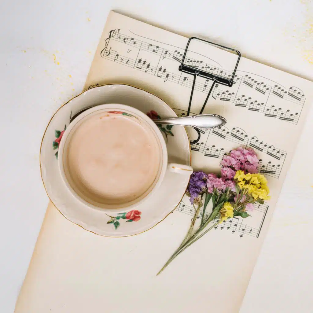 Butterfly Bossa Flow