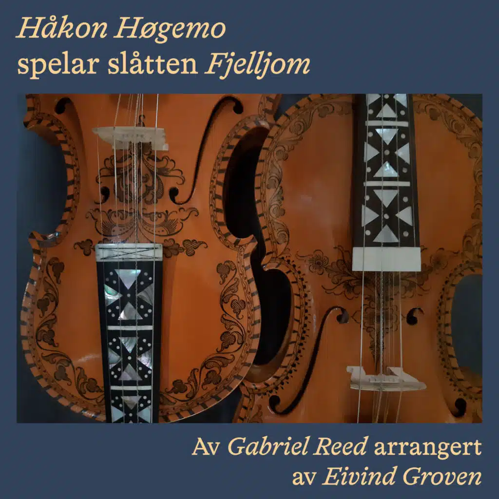 Håkon Høgemo