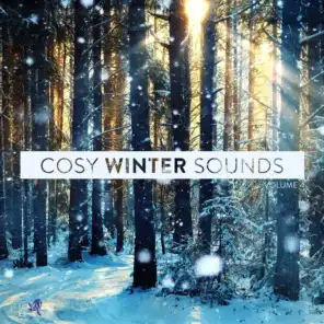 Cosy Winter Sounds, Vol. 4