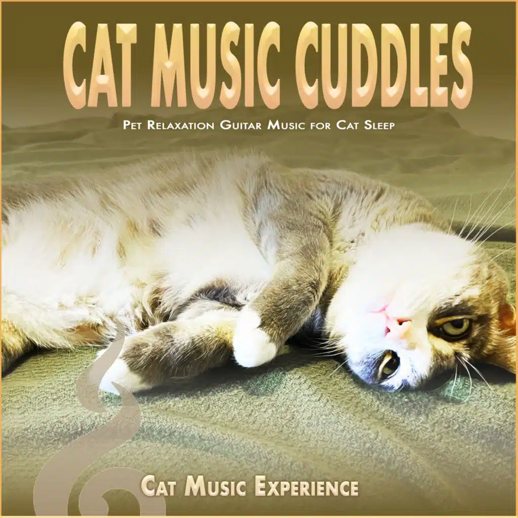Cat Music Experience