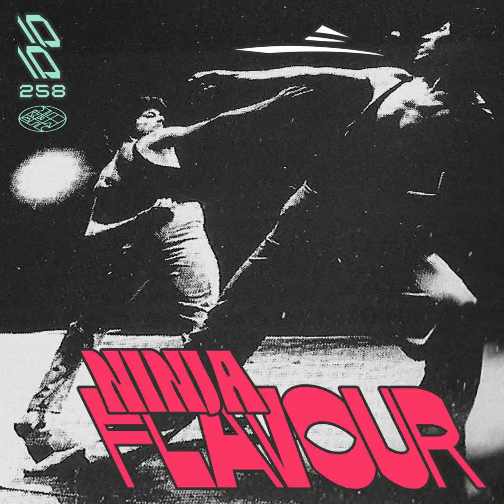 Ninja Flavour EP