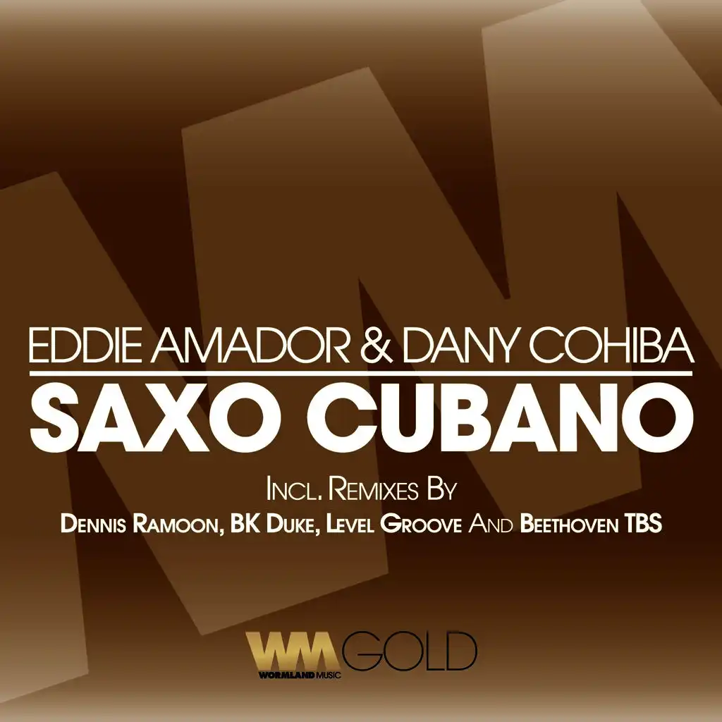 Saxo Cubano (Level Groove Remix)