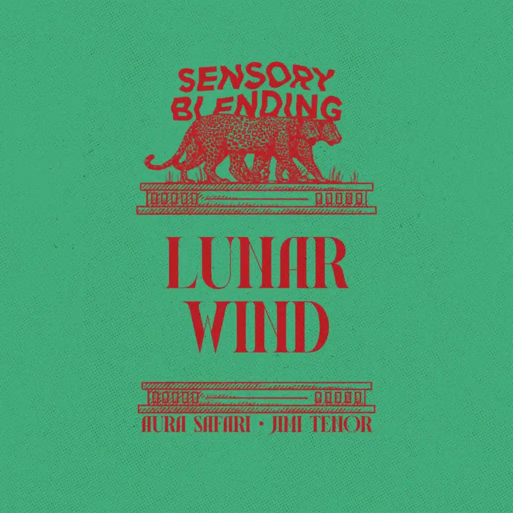 Aura Safari & Jimi Tenor