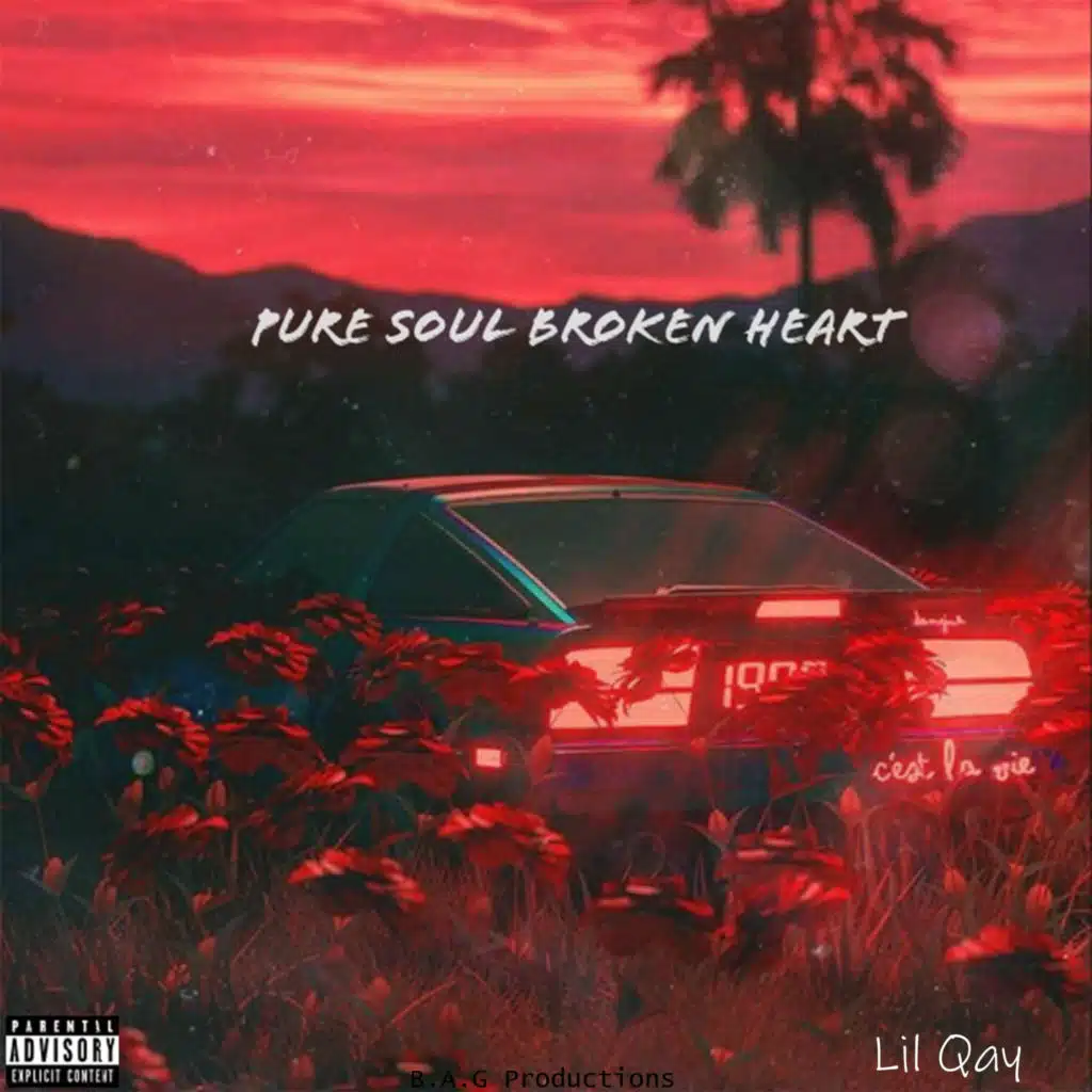 Pure Soul Broken Heart