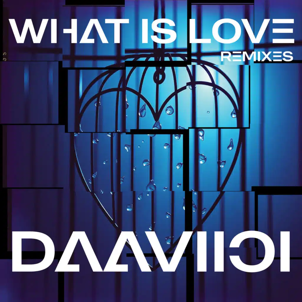What Is Love (Festival Intro) [feat. DaaViici]