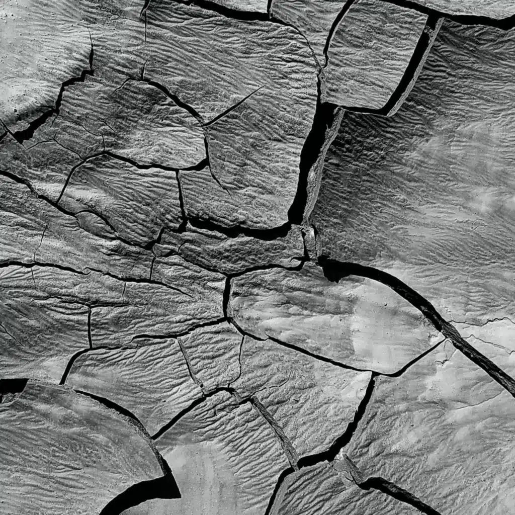 RSN 11 20 2022 (1 bpm 97)