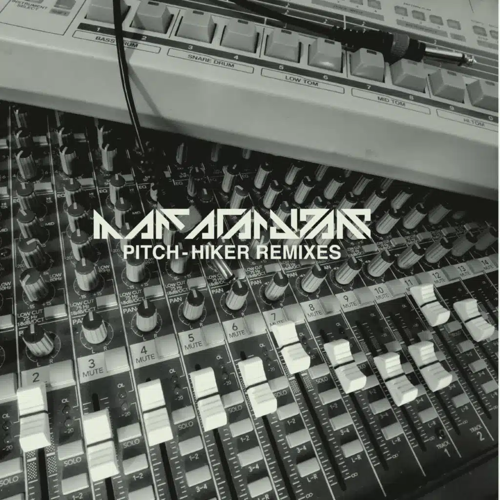 Pitch-Hiker (Ghost In The Machine Remix)