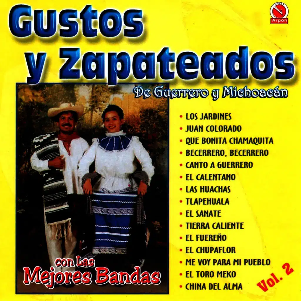 Gustos y Zapateados, Vol. 2 (De Guerrero y Michoacán) [Con las Mejores Bandas]
