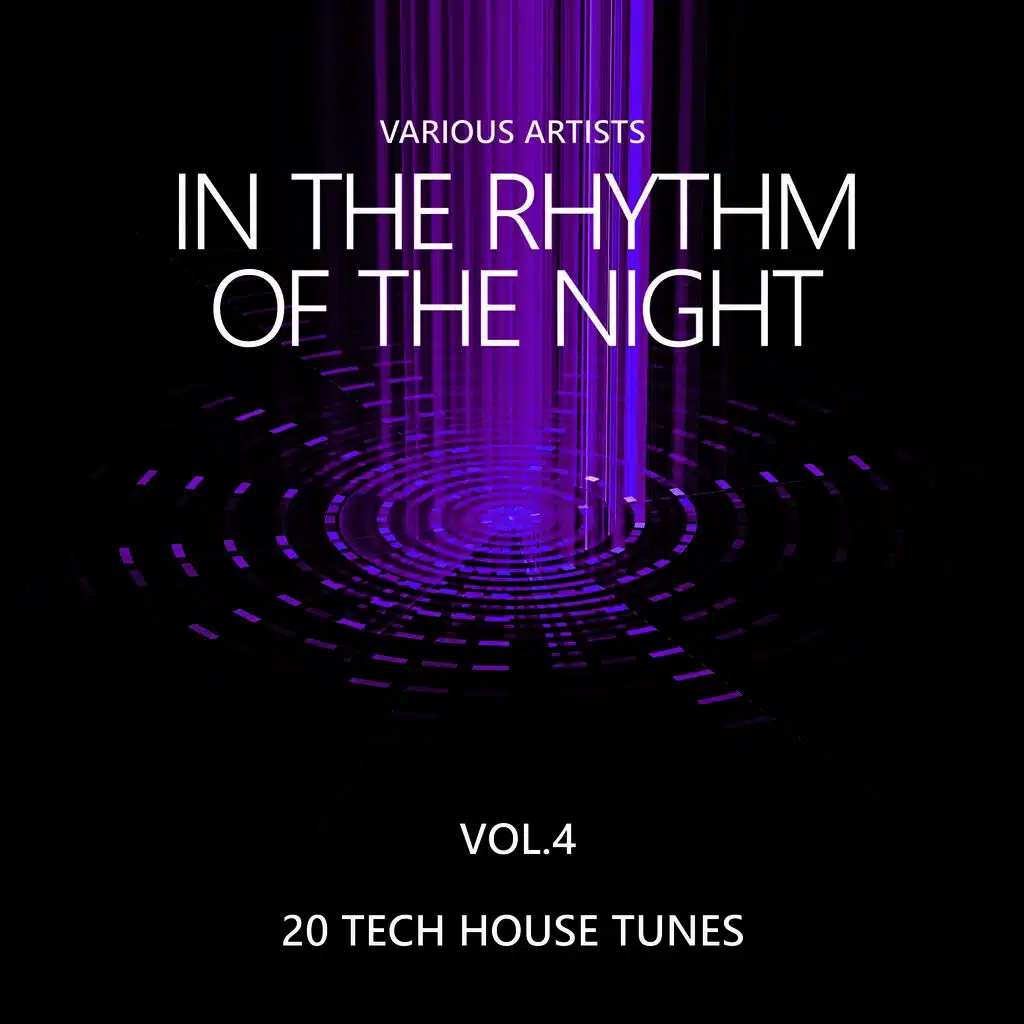 In the Rhythm of the Night (20 Tech House Tunes), Vol. 4