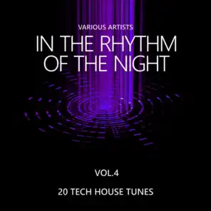 In the Rhythm of the Night (20 Tech House Tunes), Vol. 4