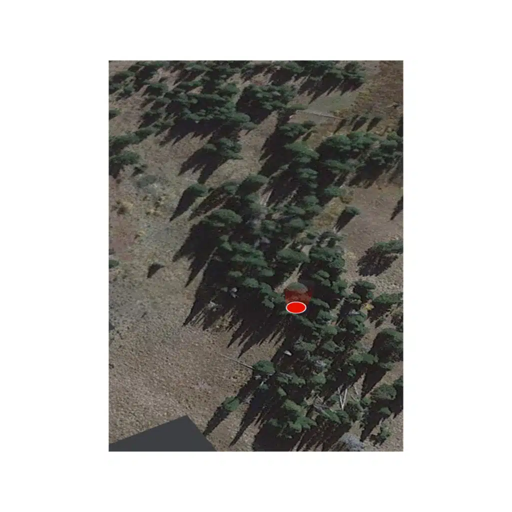 EVERYBODY (Instrumental)