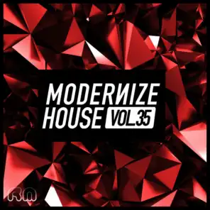Modernize House, Vol. 35