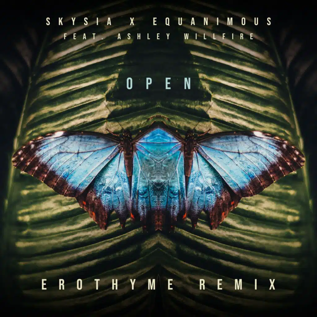 Open (Erothyme Remix) [feat. Ashley Willfire]