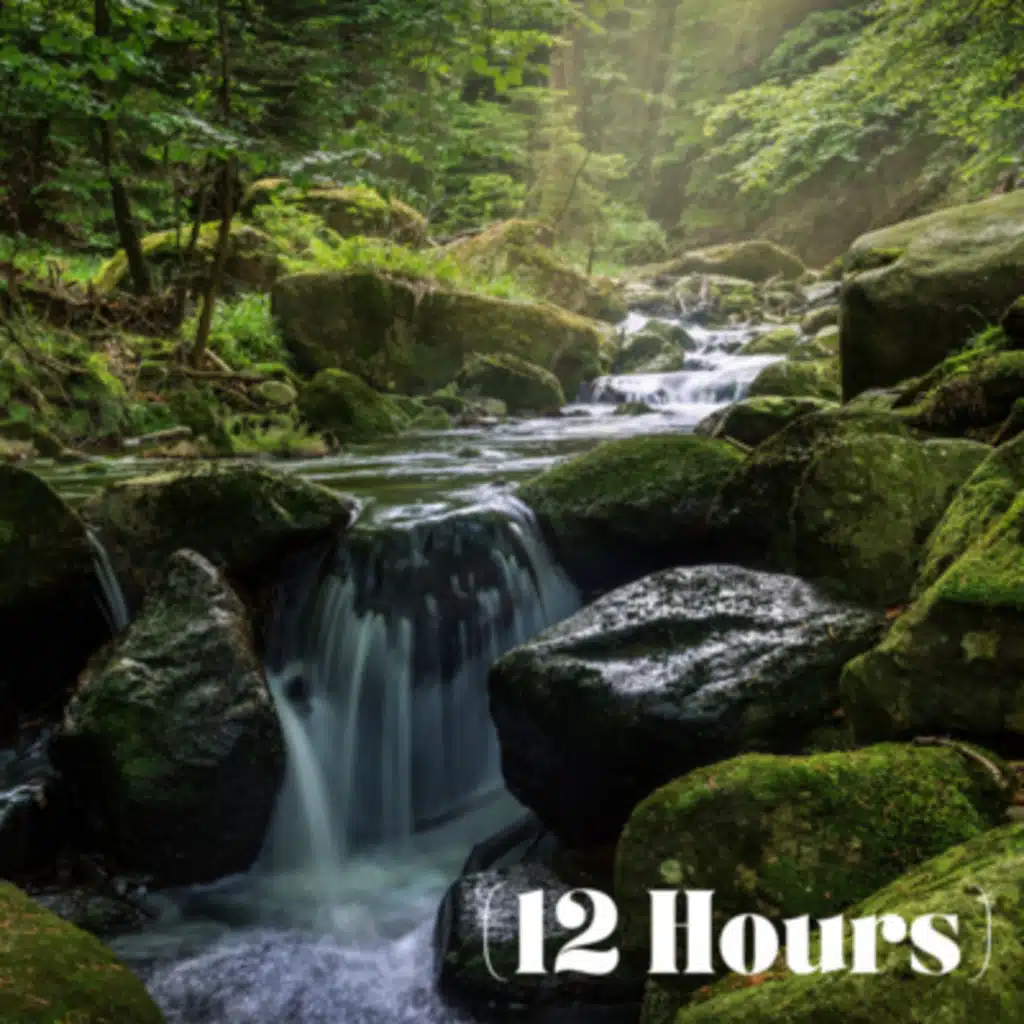 Waterfall Rushing into Stream | Sleep Sound (12 Hours)