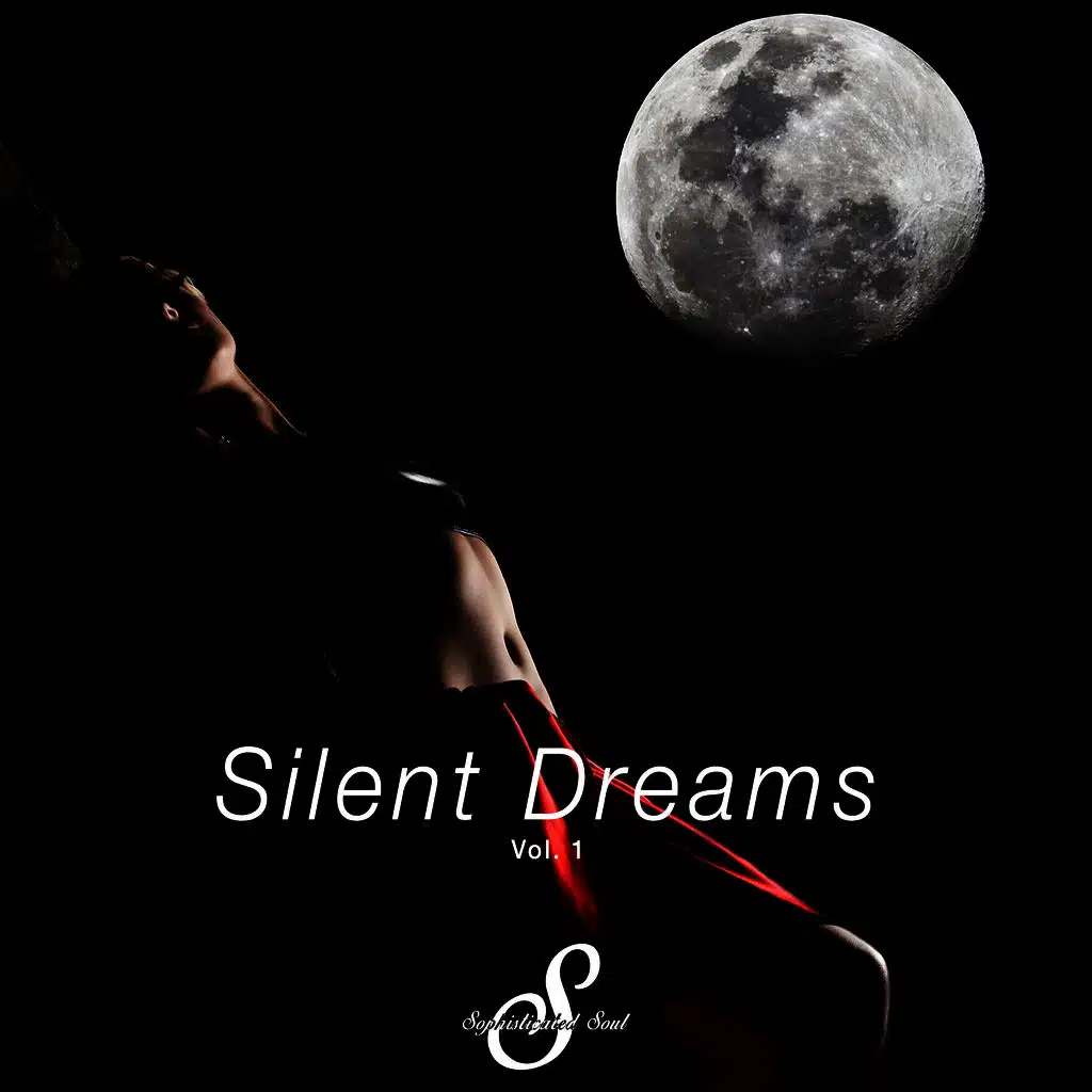 Silent Dreams, Vol. 1