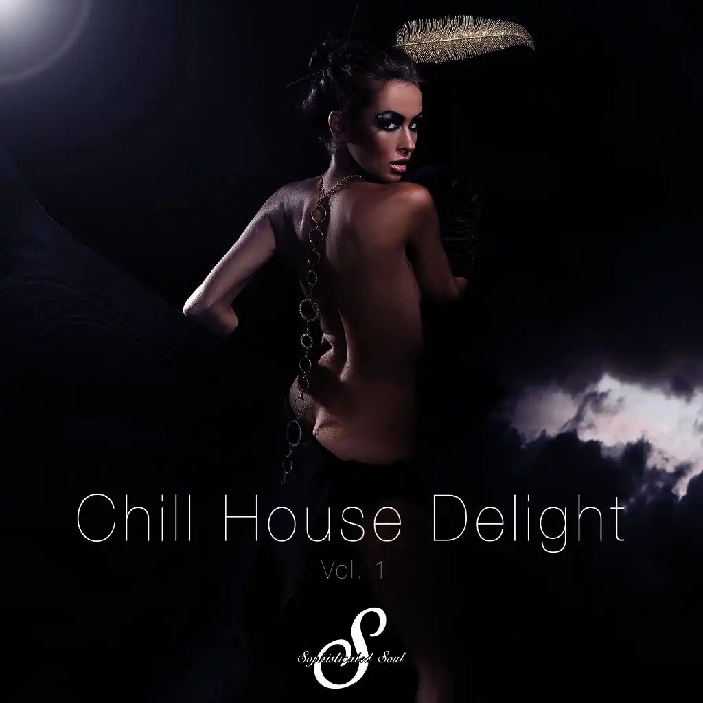 Chill House Delight, Vol. 1
