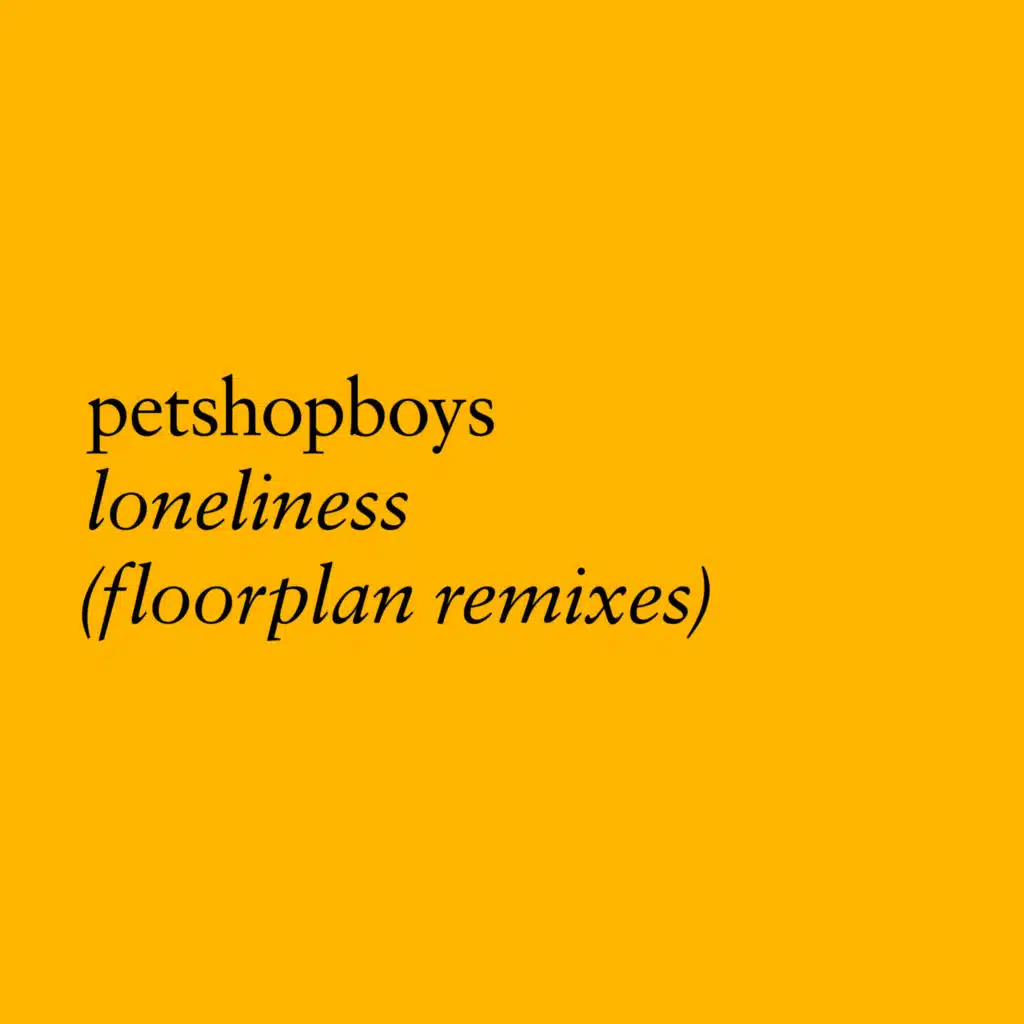 Loneliness (Floorplan remix instrumental)