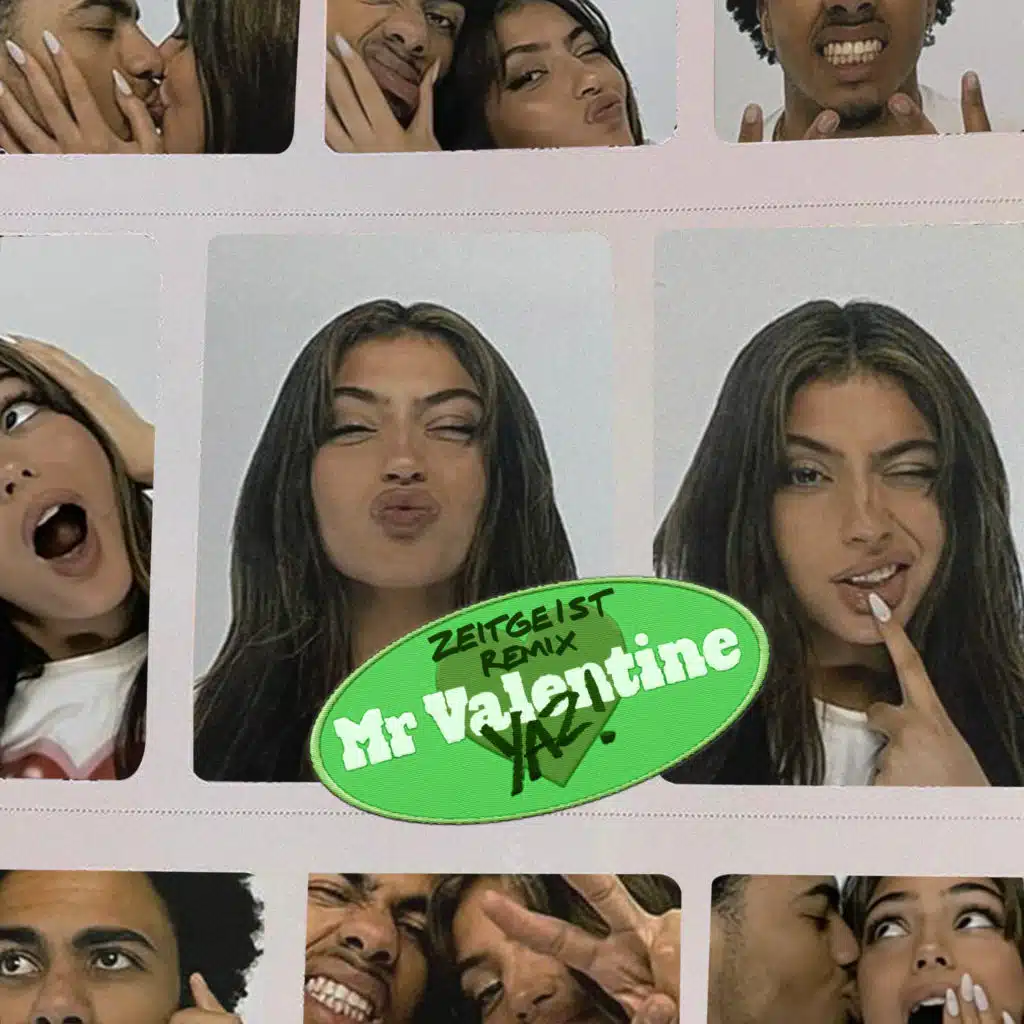 Mr Valentine (Zeitgeist Remix)