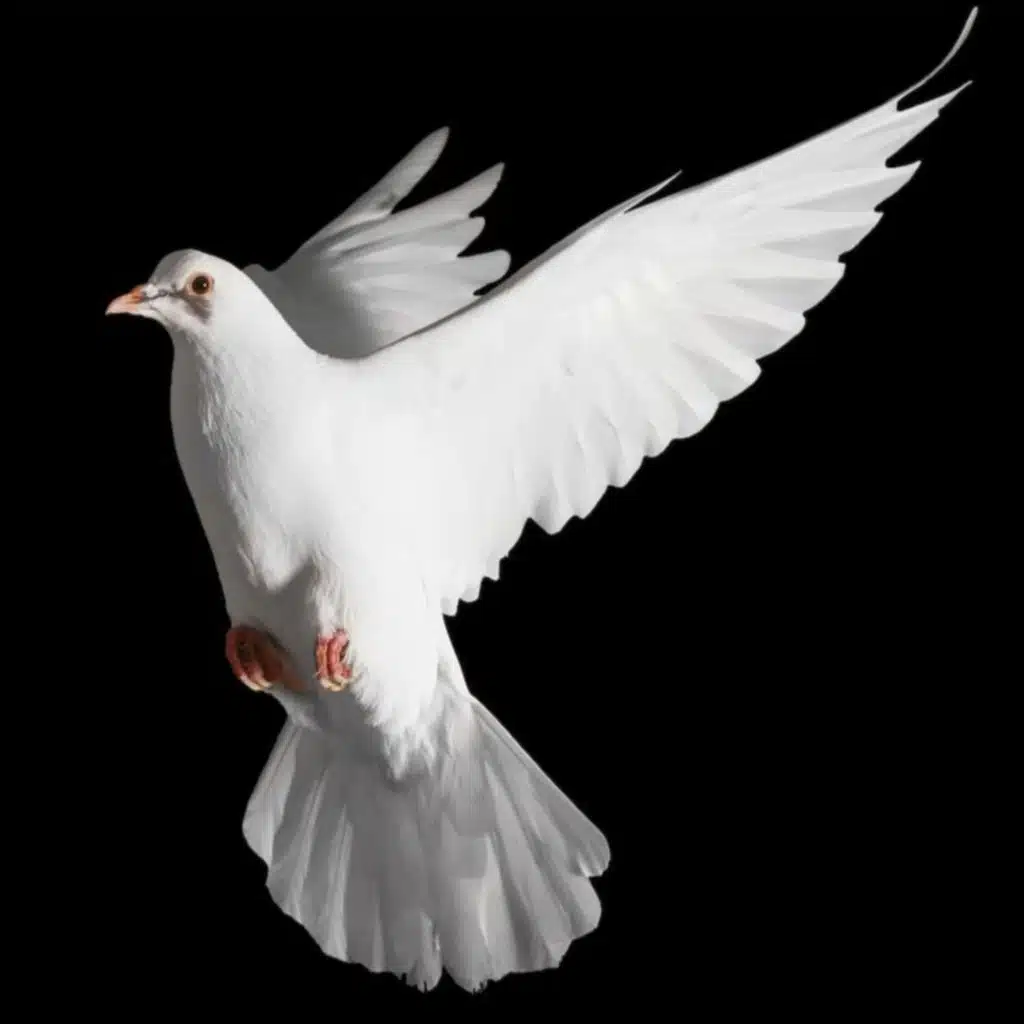 285. 2 Samuel 12 – Quel est le péché impardonnable contre le Saint-Esprit ?