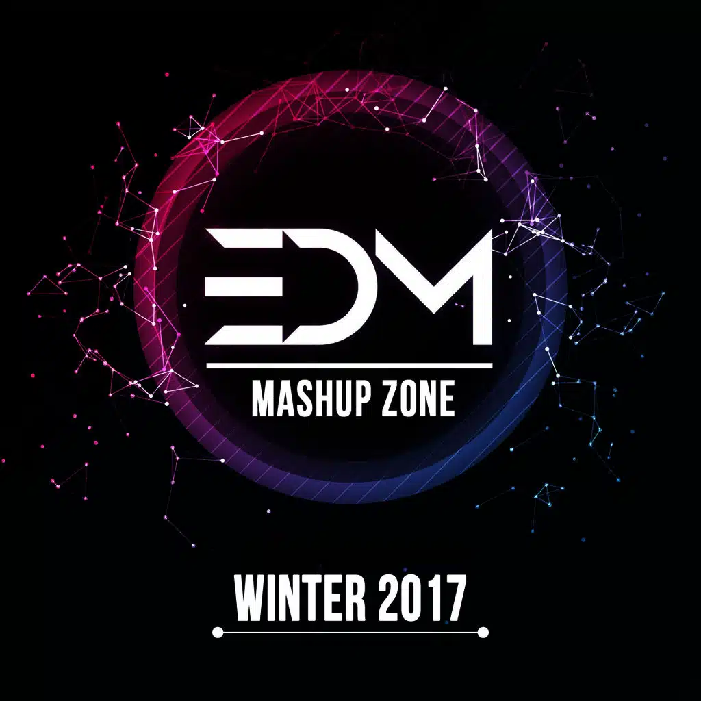 EDM Mashup Zone Winter 2017