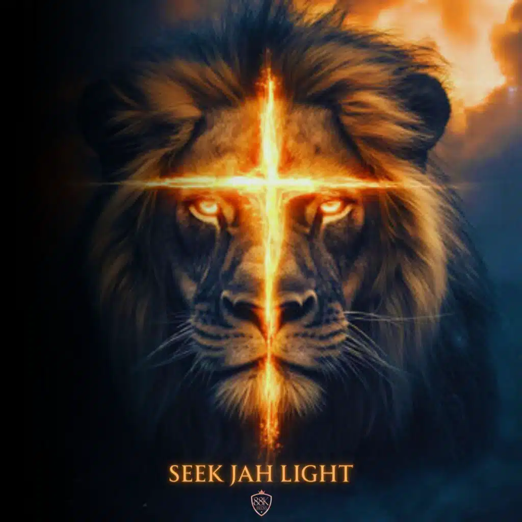 Seek Jah Light