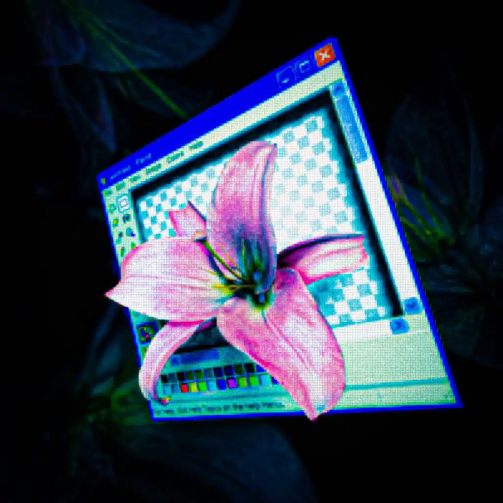 short_message_service_bonus