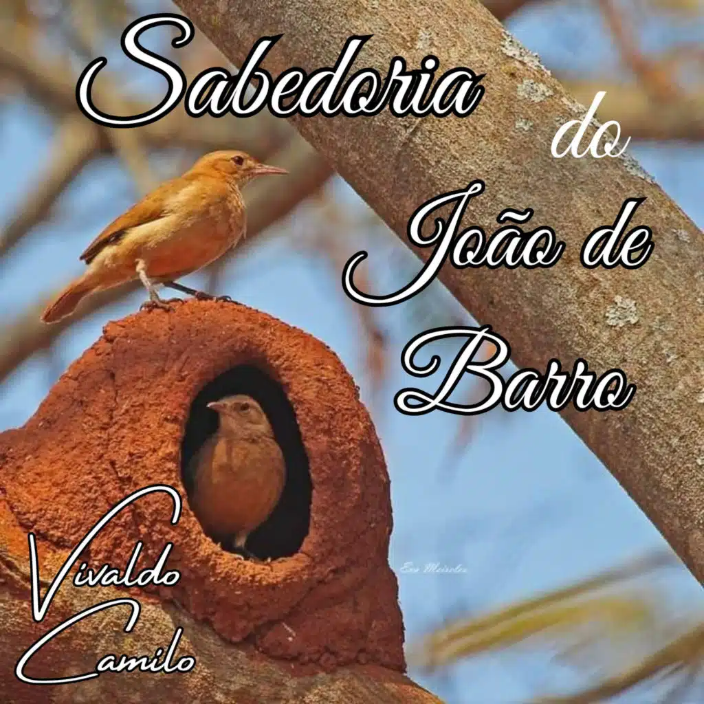 Sabedoria Do João De Barro